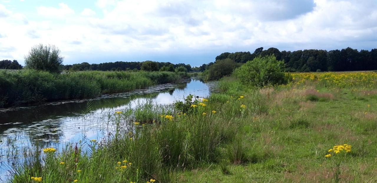 Slaaphuisjes Op Wielen Buitenwedde Westerwolde מראה חיצוני תמונה