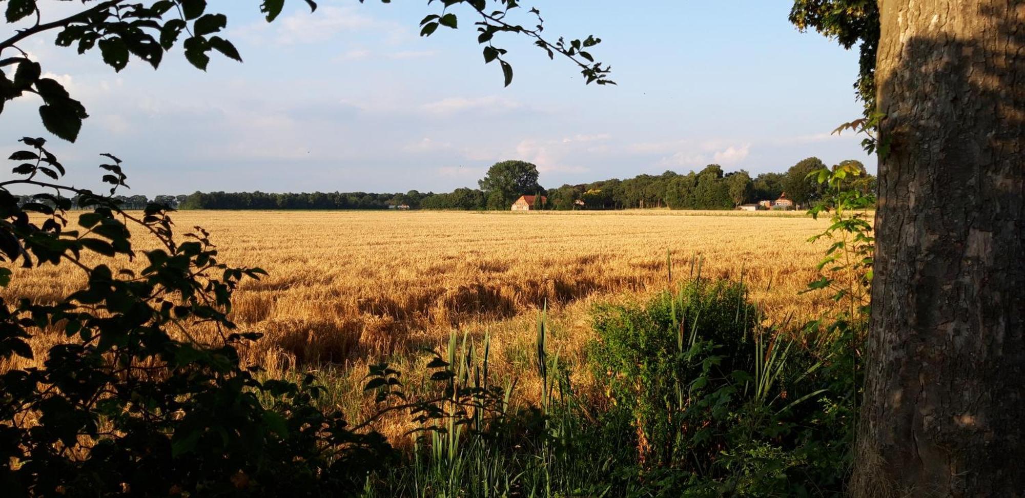 Slaaphuisjes Op Wielen Buitenwedde Westerwolde מראה חיצוני תמונה